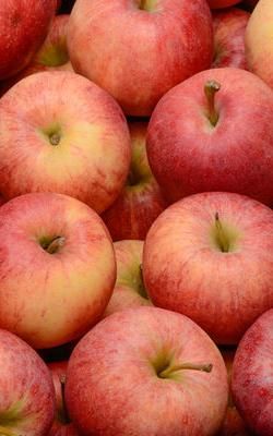 La Pomme pirouette en barquette