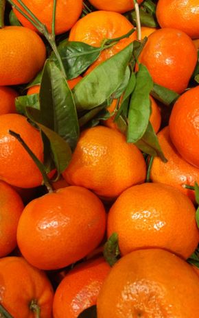 La Mandarine feuille