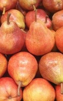 La Poire williams rouge BIO
