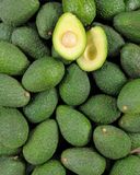 l-avocat-petit-calibre