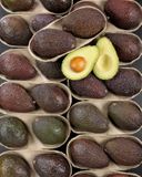 les-2-avocats-selection-murs-a-point