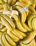 la-main-de-5-bananes