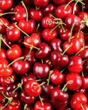 la-cerise-en-barquette-3