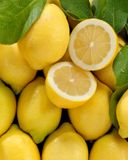 le-citron-feuille-non-traite-apres-recolte