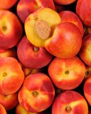 la-nectarine-jaune-5