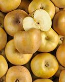 la-pomme-canada-grise