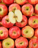 la-pomme-pink-lady-hve
