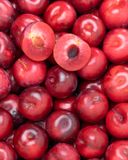 la-prune-ruby-crunch