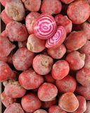 la-betterave-chioggia