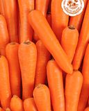 la-carotte-des-landes-hve