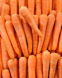 la-carotte-primeur-1