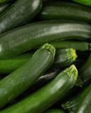 la-courgette-verte-bio