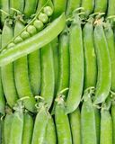le-petit-pois