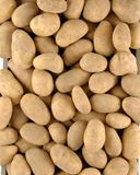 la-pomme-de-terre-non-lavee-2