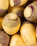 le-rutabaga