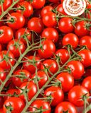 la-tomate-cerise-grappe-hve