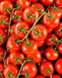 la-tomate-grappe-selection-hve