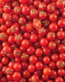 la-tomate-cerise-rouge-hve