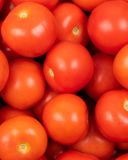 la-tomate-ronde-ou-allongee-en-filet