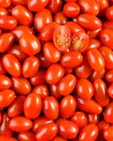 la-tomate-cerise-rouge-allongee