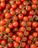 la-tomate-cerise-grappe