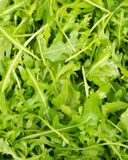 la-roquette-100g