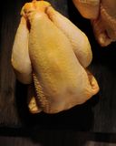le-poulet-fermier-jaune-des-landes-label-rouge-igp-1-5-kg