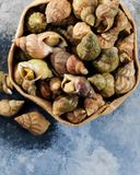 les-bulots-cuits