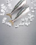 le-maquereau-pret-a-cuisiner