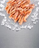 les-langoustines-entieres-cuites-20-40