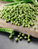 4320 PETITS POIS 250G .jpg