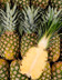 5145 L ANANAS EXTRA SWEET.jpg