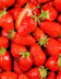 5623 FRAISES GARIGUETTE V2.jpg