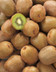6210_Kiwi.jpg
