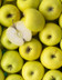 7440 POMME GOLDEN.jpg