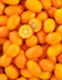 7851 Kumquat.jpg