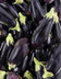 8155 AUBERGINE FILET DE 1KG.jpg