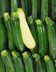 8429_Courgette.jpg