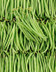 8550 HARICOT VERT.jpg