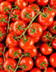 9338 Tomate grappe Avalantino HVE.jpg