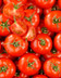 9392 TOMATES DIVINA.jpg