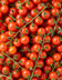9401 TOMATE CERISE GRAPPE.jpg