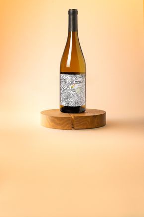 Le Vin blanc "Pas vu Pas pris" BIO