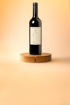 Le Vin rouge "Les vacances de Monsieur Merlot" BIO