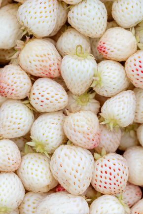 La Fraise blanche