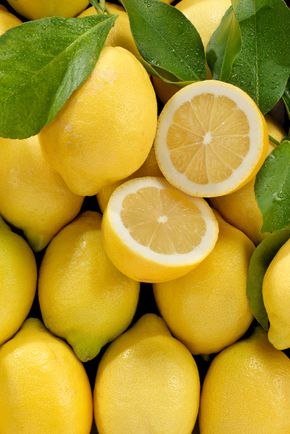 Le Citron feuille non traité après récolte