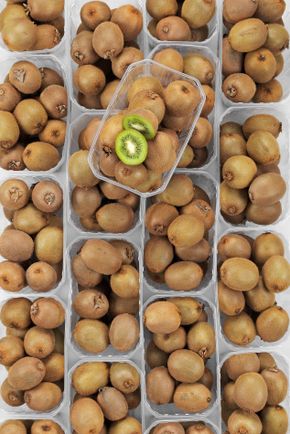 Le Kiwi  en barquette