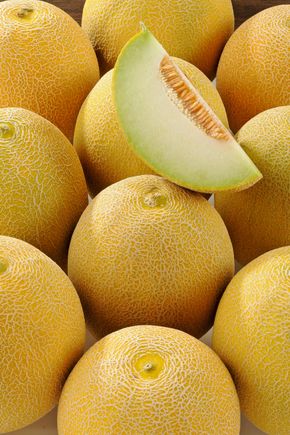 Le Melon galia