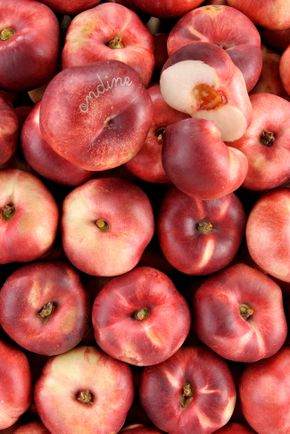 La Nectarine plate blanche HVE