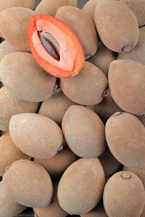 La Sapote Mamey